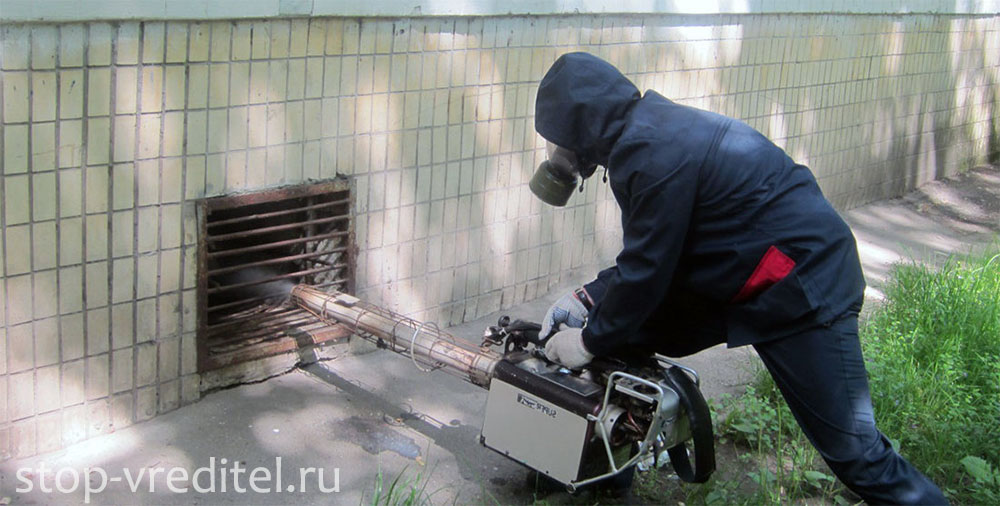 Дератизация