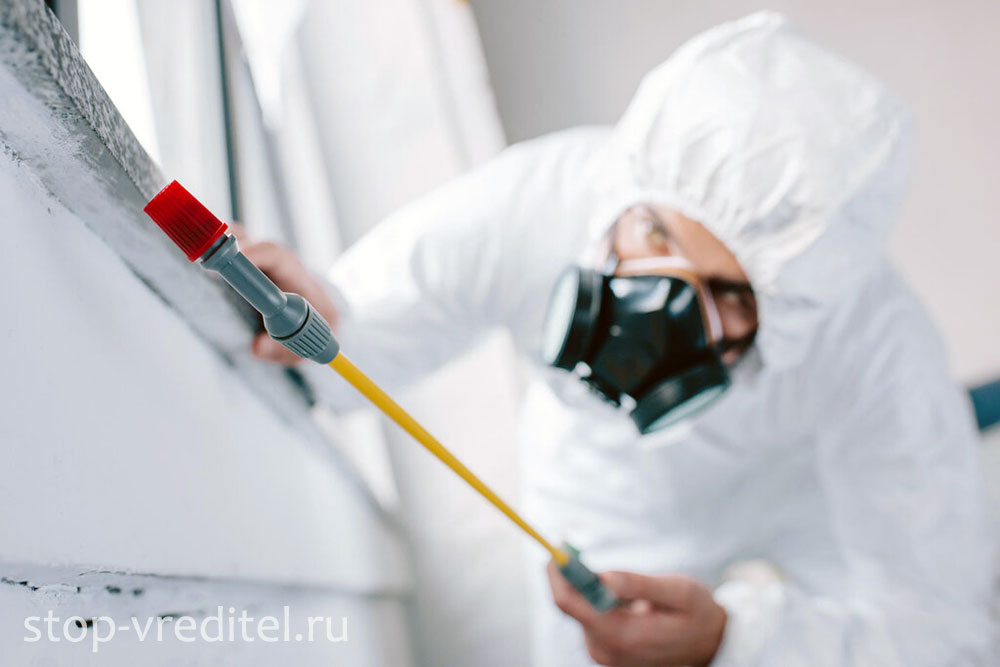 Дезинсекция